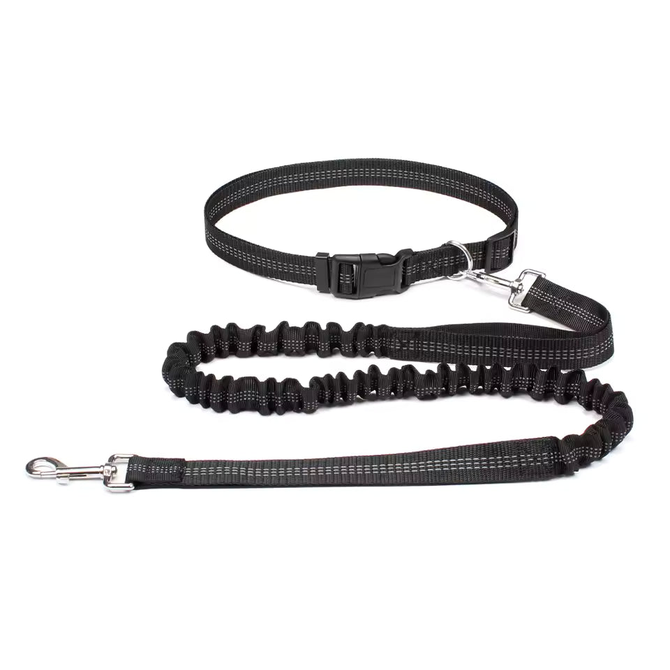 Unisex hands-free dog leash with adjustable waist belt, bungee system for comfortable pet jogging.