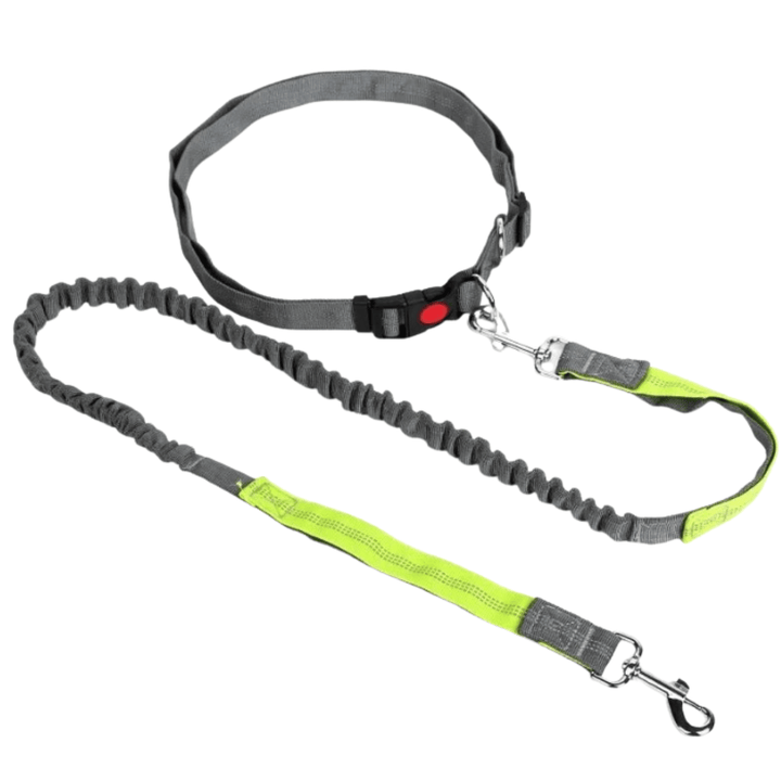 Pet accessory: hands-free dog leash with reflective stitching and easy-to-use waist attachment