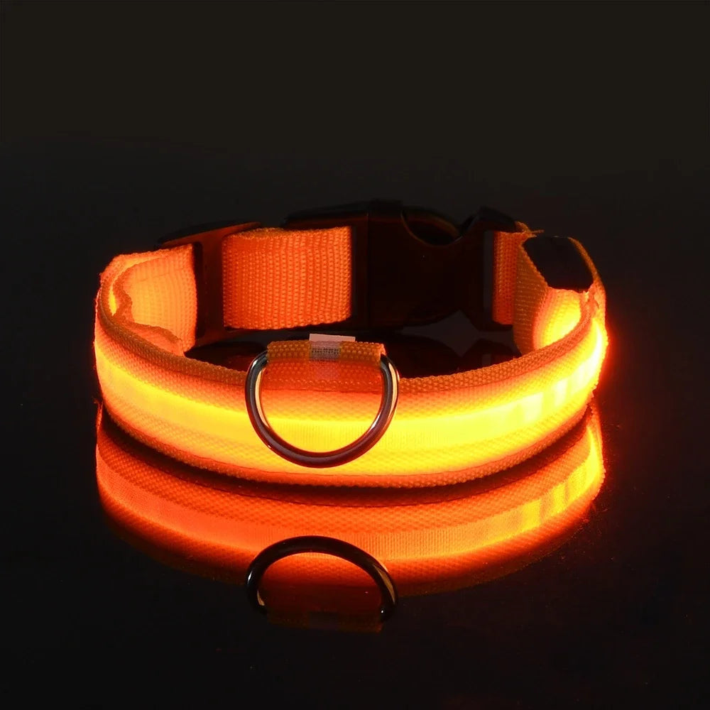 Unisex LED dog collar in blue, glowing brightly for nighttime safety and visibility while walking.