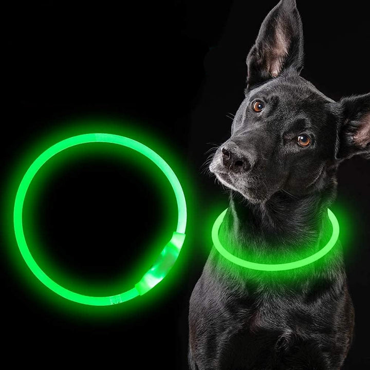 Unisex LED pet safety collar, USB rechargeable, glowing green for night dog walks