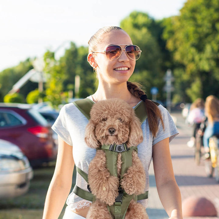 New4 pet carrier backpack, designed for small to medium dogs, showcasing durable fabric and secure zippers