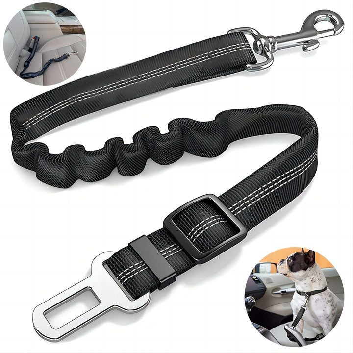 Dog car leash seatbelt securing pet for safe travel, durable black nylon restraint