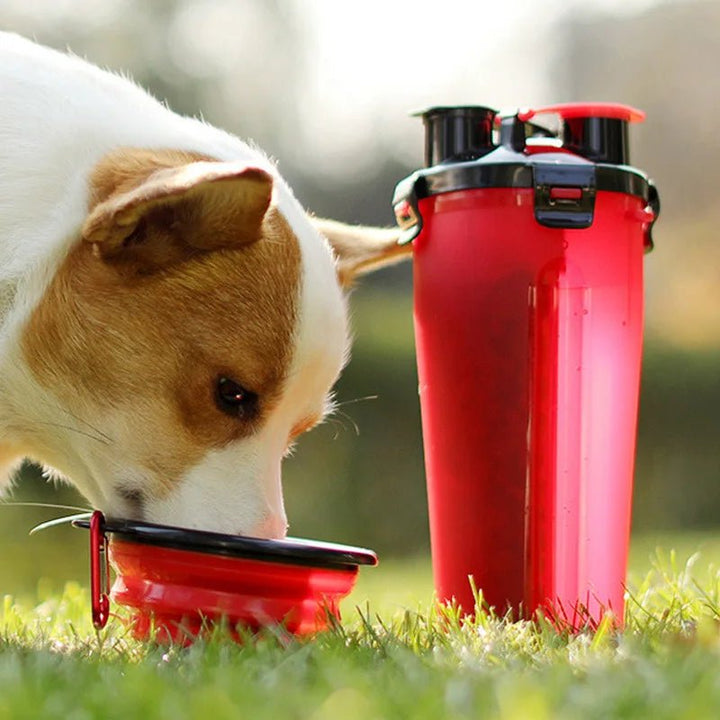 Portable pet water bottle with snap-on food bowl for easy outdoor feeding, ideal for walking dogs