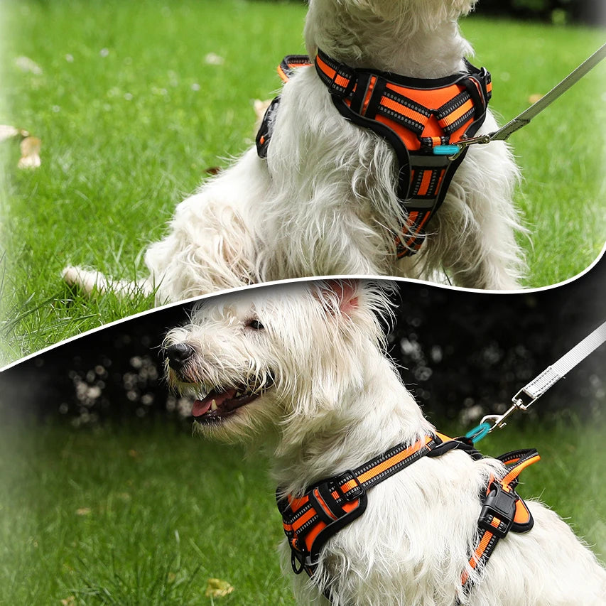Side profile of dog wearing adjustable reflective vest, comfortable for all breeds