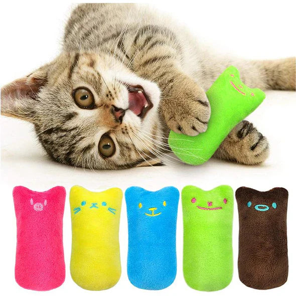 Interactive cat toy with catnip, scratch-resistant design for endless feline fun and pet supplies