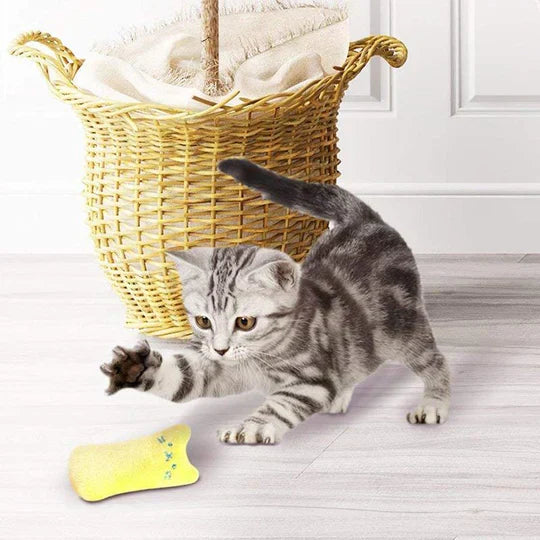 Premium scratch-resistant cat toy for unisex felines, packed with catnip for engaging playtime