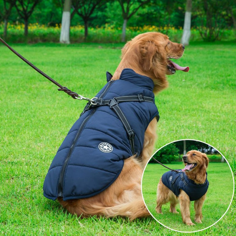 Red waterproof insulated dog coat, cold weather pet jacket, dog vest, pet apparel