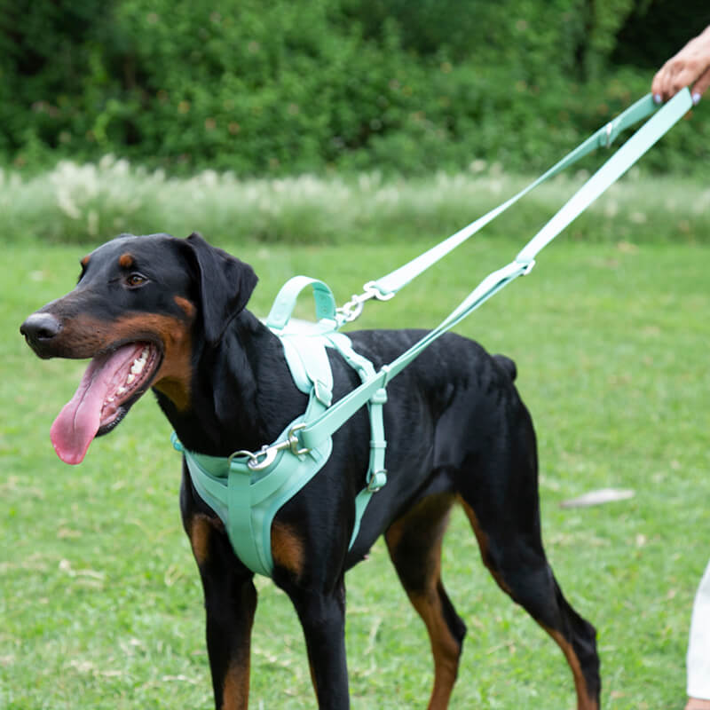 Assortment of colorful waterproof no-pull dog harnesses, easy clean pet supplies