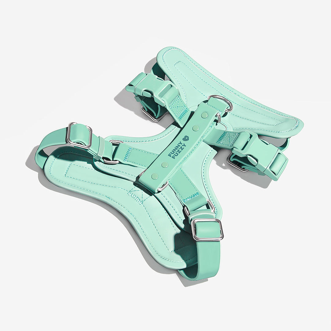 A dog owner easily adjusting a waterproof no-pull dog harness, durable and flexible