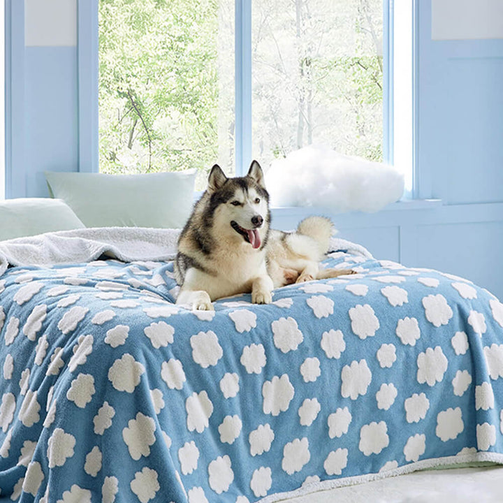 Unisex waterproof pet accessory: sherpa fleece blanket, keeping car seats clean and pets cozy on trips.