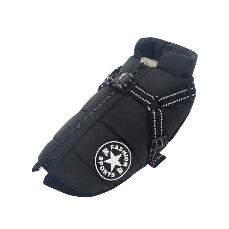 Side view of an all-weather pet jacket, waterproof and warm, designed for maximum comfort and outdoor play.