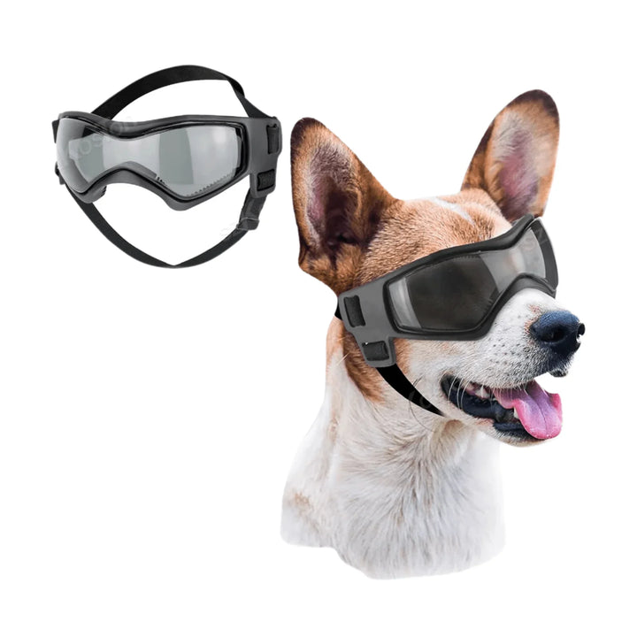 Outdoor gear: pet sunglasses for dogs, offering UV protection with comfortable adjustable fit