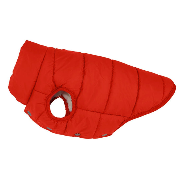 Adjustable dog winter coat with strong buckles, ensuring a snug fit for various breeds.