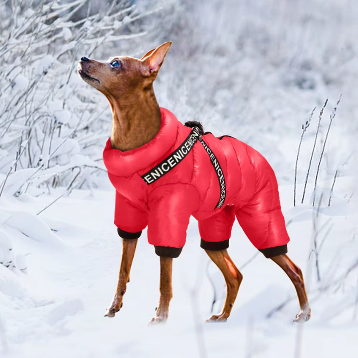 Black waterproof dog winter jacket with built-in harness, ideal for cold weather walks.