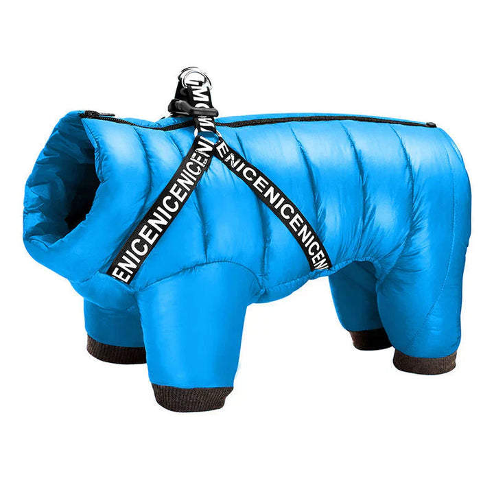 Dog winter padded coat with integrated harness, essential outdoor pet gear for cold.