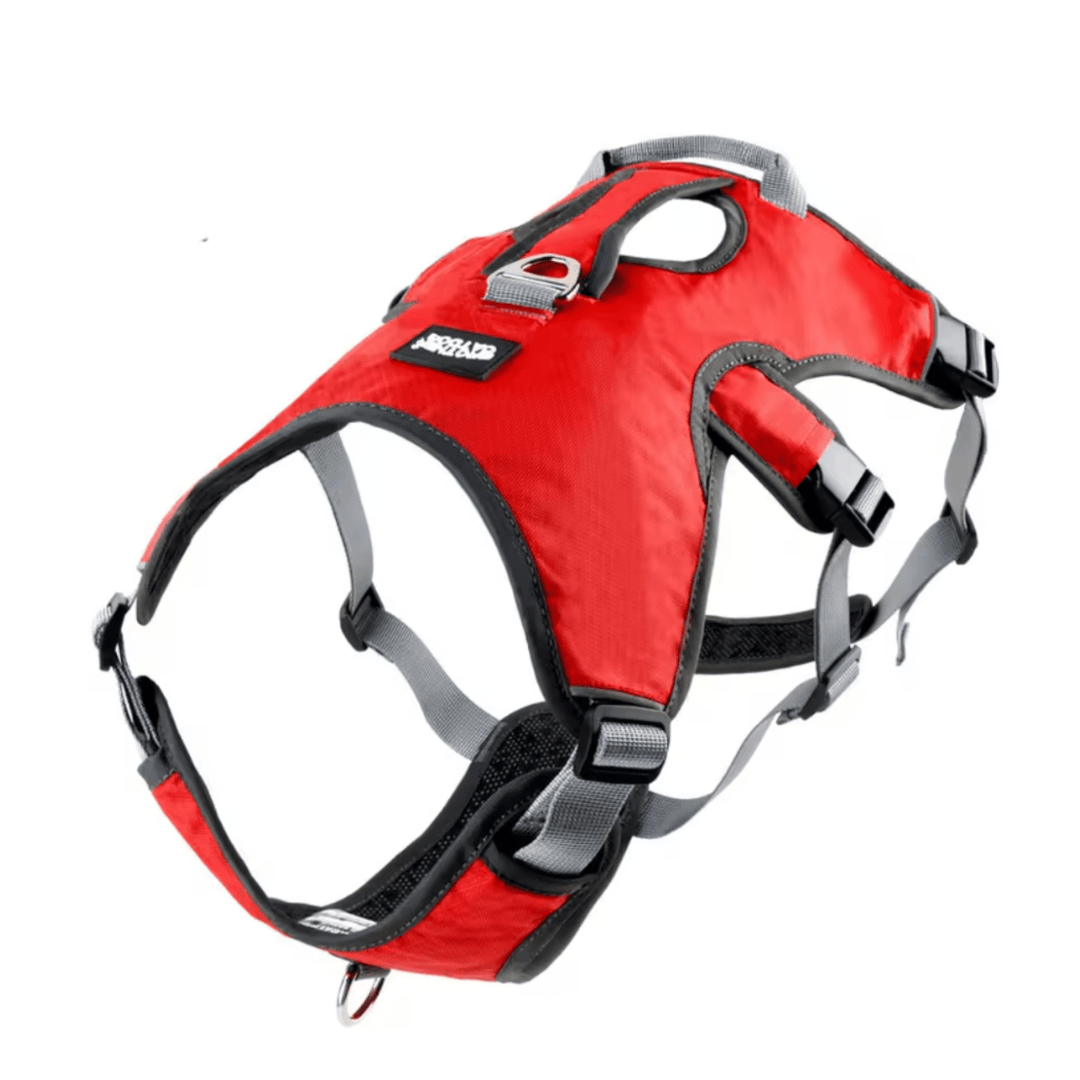 Adjustable waterproof dog harness for medium dogs, highlighting reflective strips for visibility.