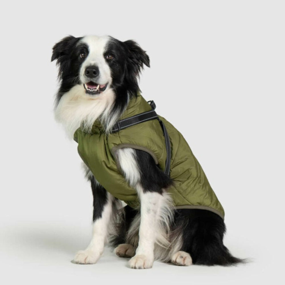 Waterproof dog jacket with integrated harness, perfect for outdoor winter dog adventures.