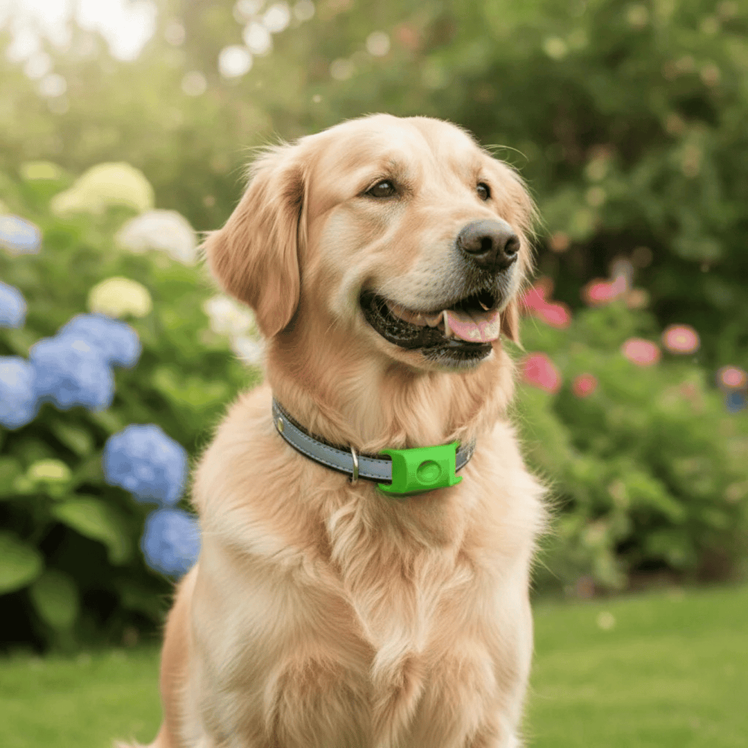 Close-up of a waterproof pet collar, designed for flea and tick prevention for both canine and feline