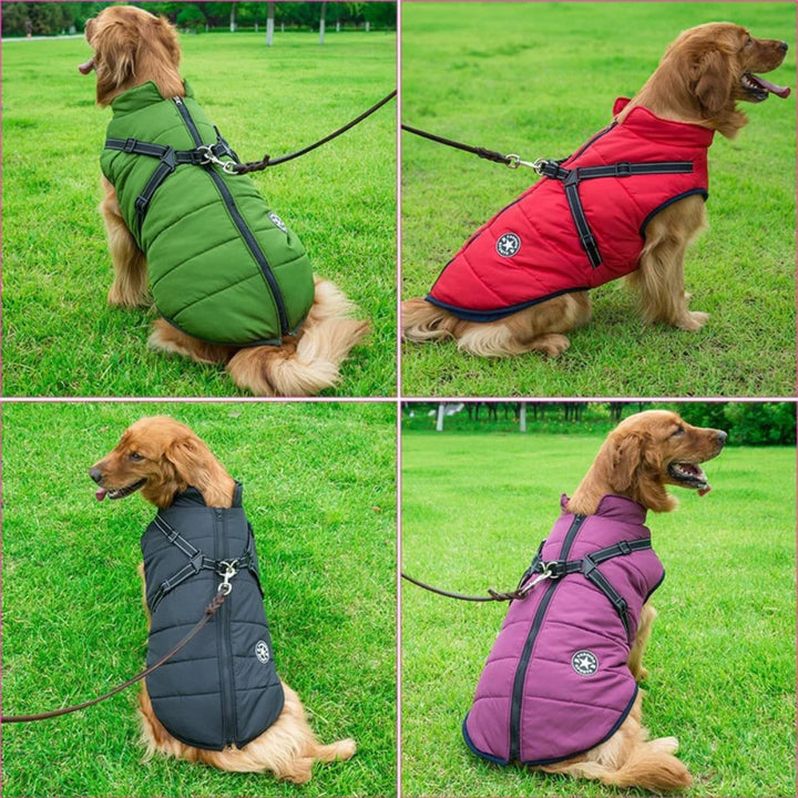 Stylish waterproof dog coat with integrated harness. Keeps dogs dry & warm during cold, wet outdoor play.