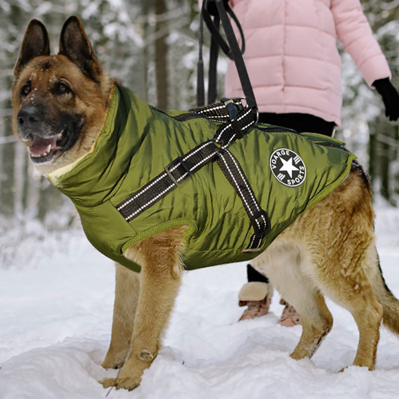 Grey waterproof winter dog jacket with integrated harness, high visibility for outdoor adventures