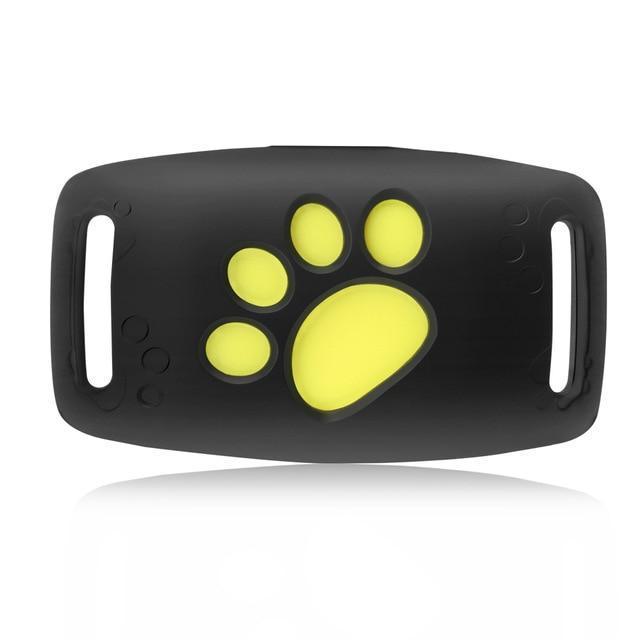Lightweight GPS cat collar with a small tracking device, ideal for real-time pet monitoring