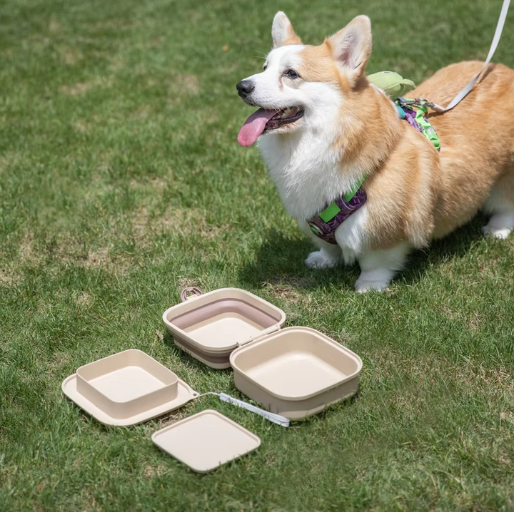 Green silicone pet food & water organizer box, compact storage for dog and cat supplies