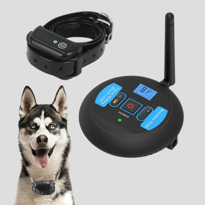 Wireless dog fence collar system with 200m range, ideal for pet containment and training.