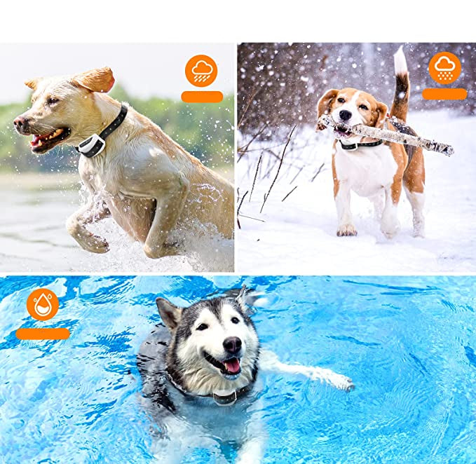 Electronic invisible dog fence kit with adjustable collar for secure pet containment and training