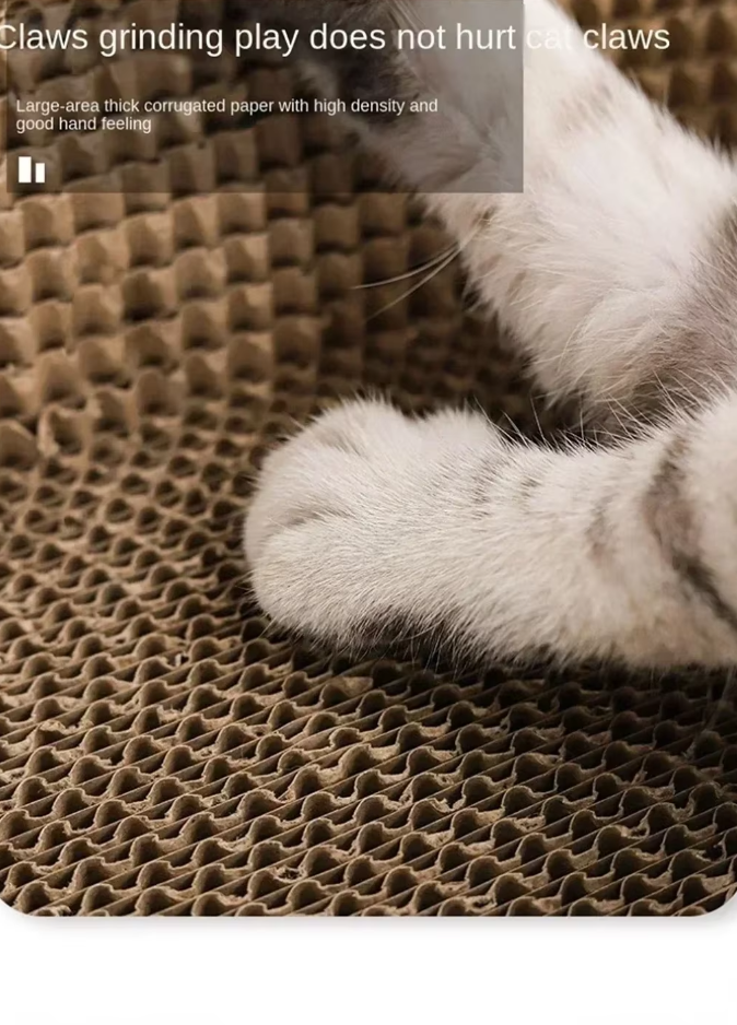 Cat enjoying a nap on the comfortable yellow cat scratching lounge and pet bed